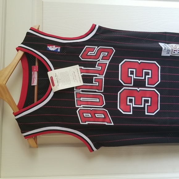 SCOTTIE PIPPEN CHICAGO BULLS PINSTRIPE JERSEY SIZE SMALL - Picture 1 of 11